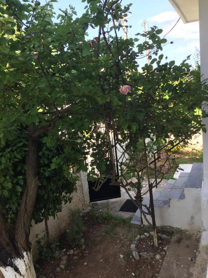 Rose'S Place Артемида Екстериор снимка